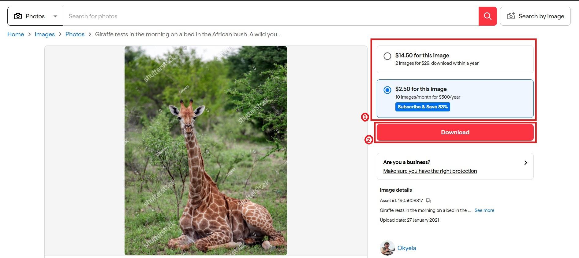 shutterstock image download choose your plan