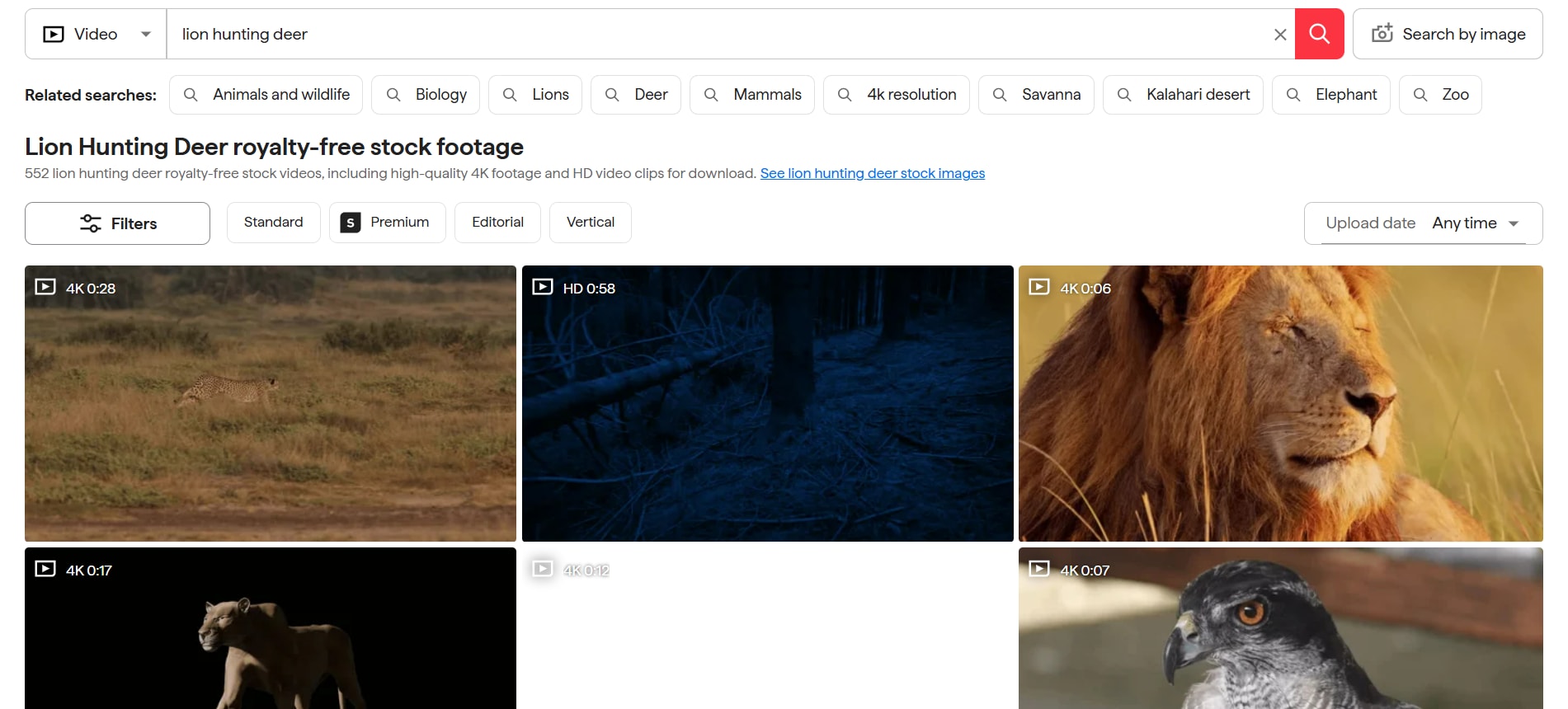 shutterstock video download choose your video