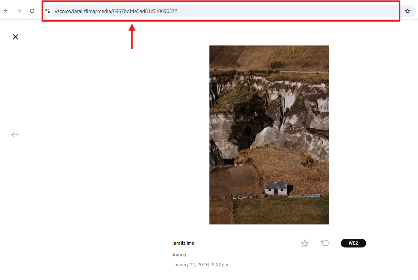 experts tool copy vsco photo link