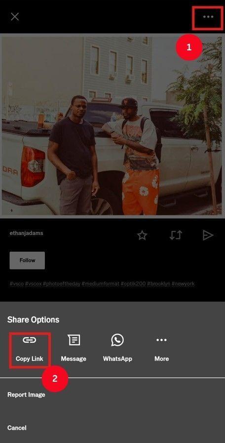 ios vsco app copy media link