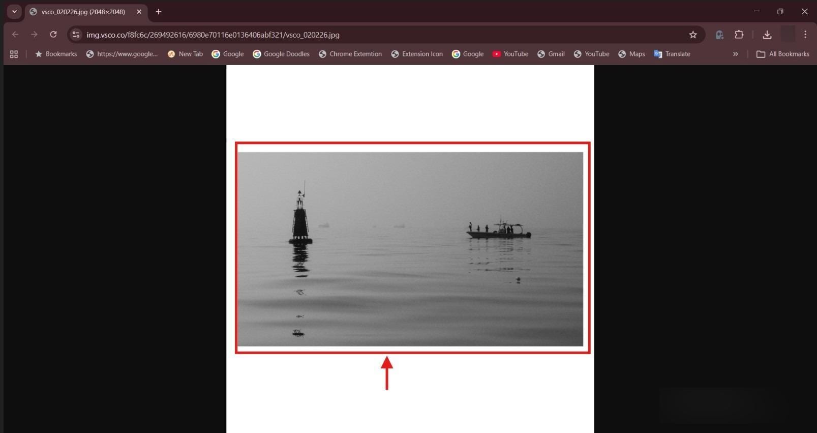 vsco downloader save image