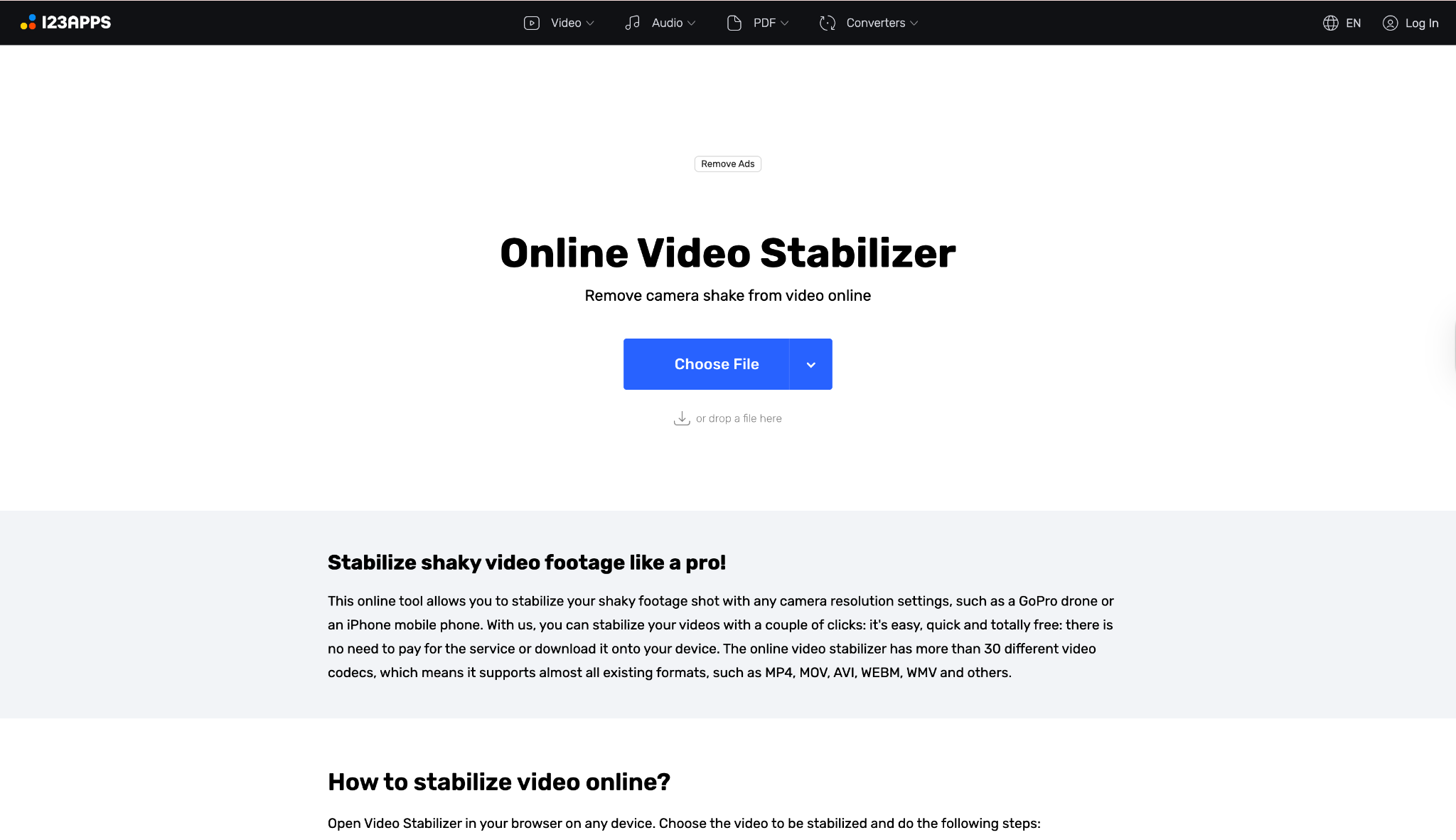 online video stabilizer homepage