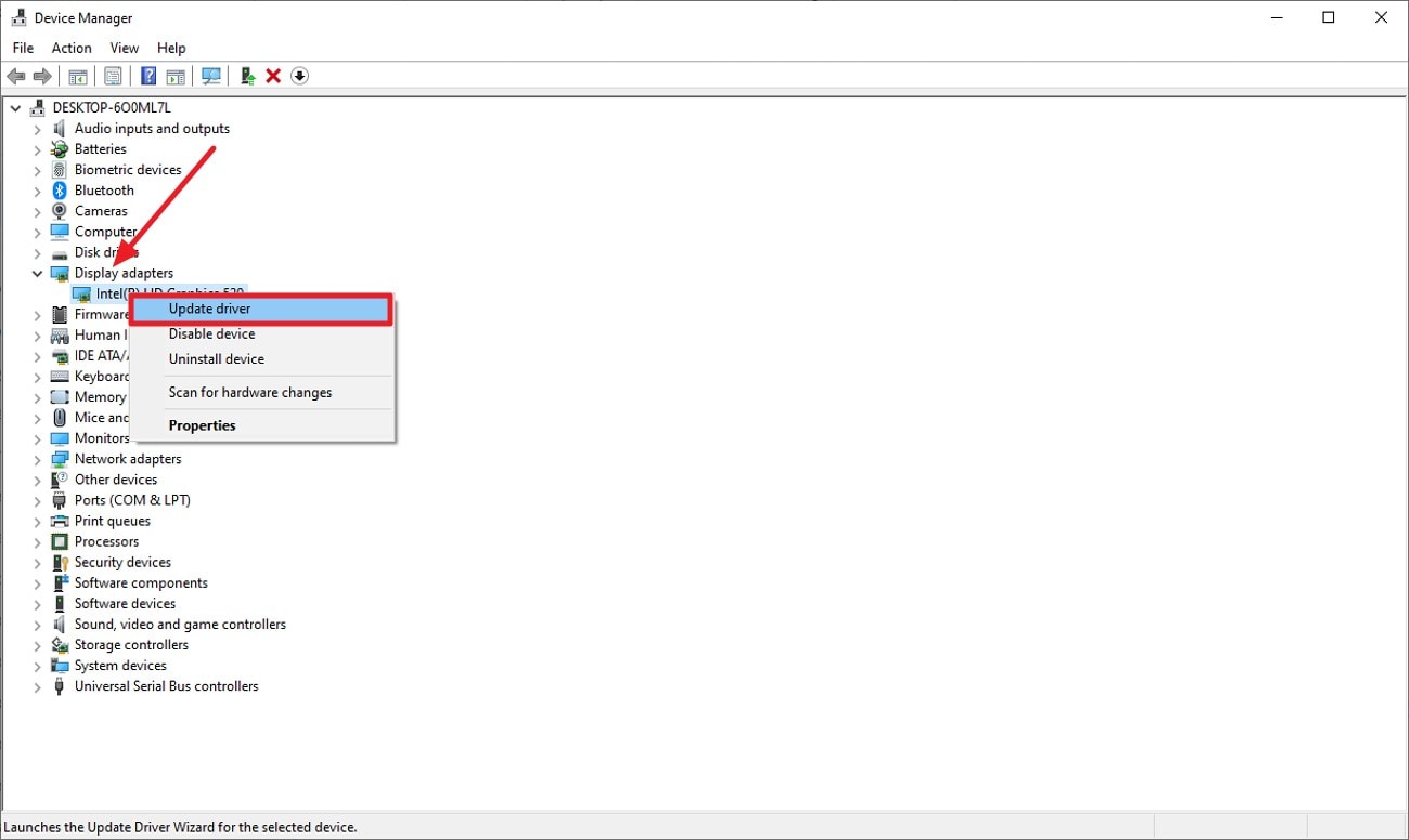 access display adapter