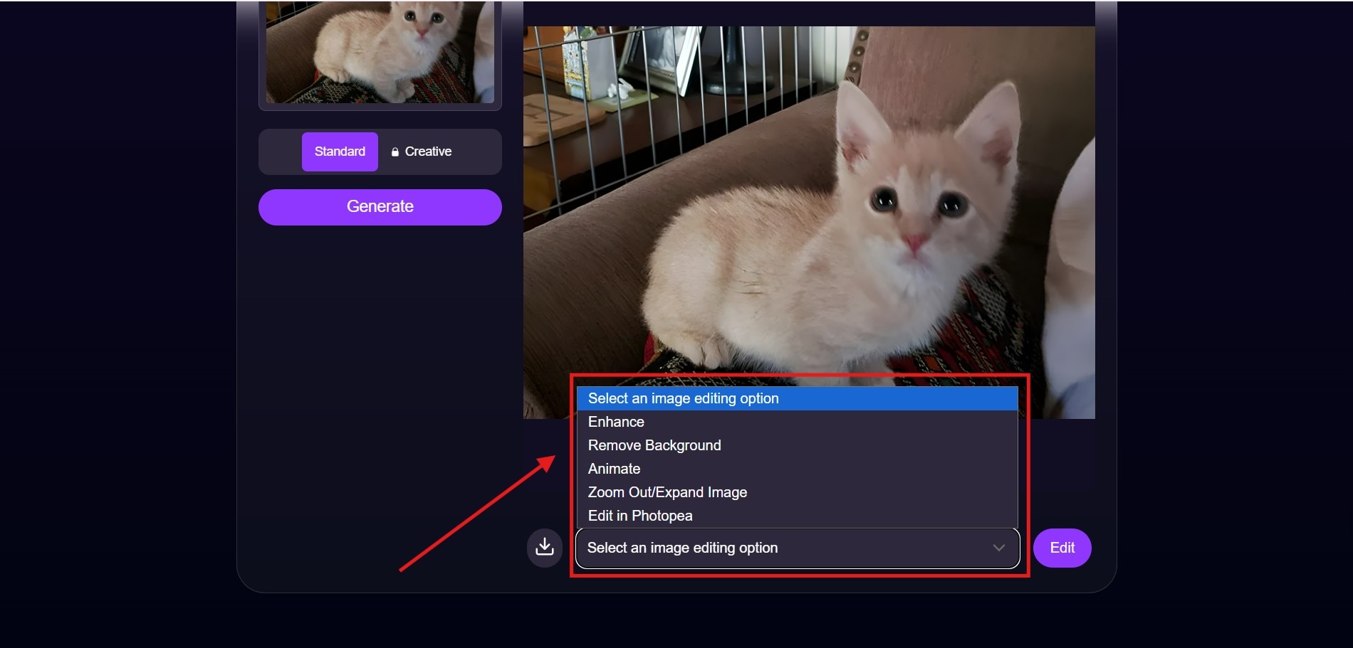 deep ai super resolution choose editing option