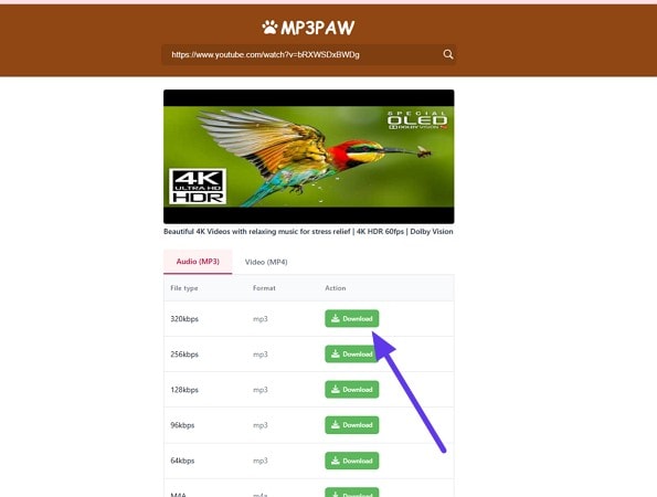 paste link to site interface