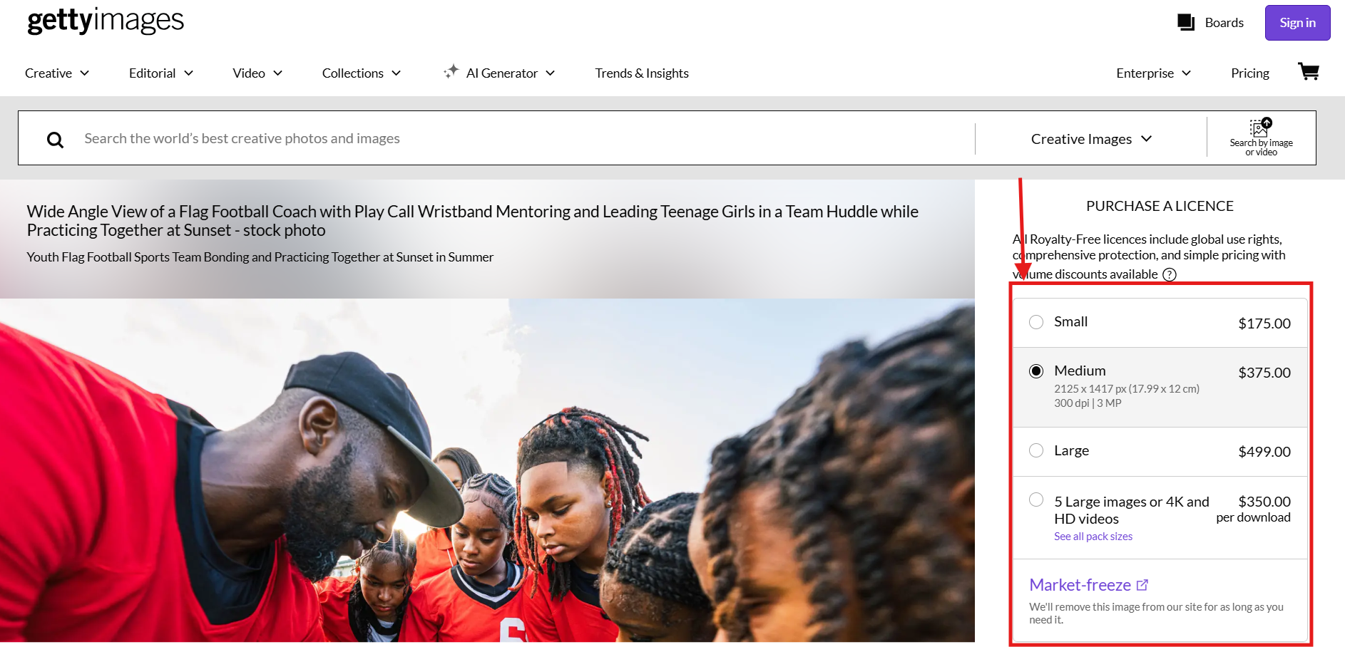 getty images select image license type