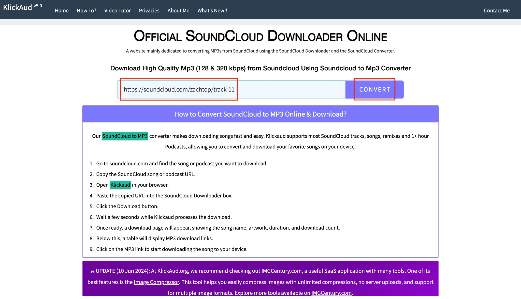 paste link and hit the convert button