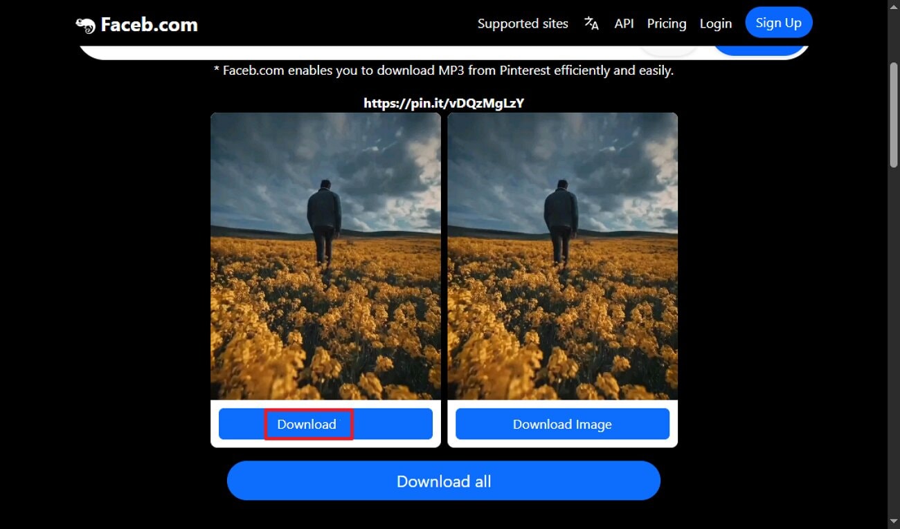 download the audio file with faceb tool