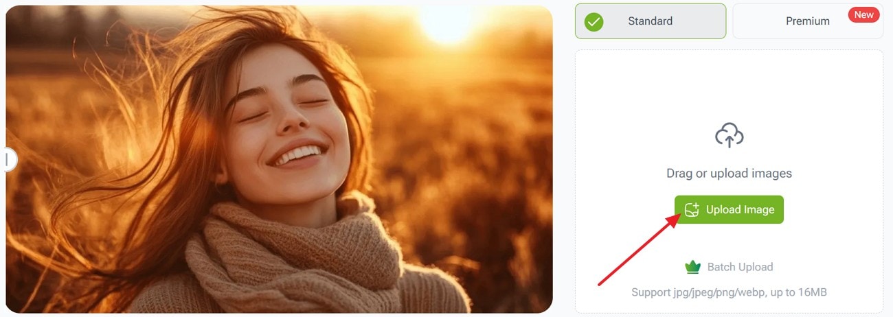 drag and drop your image