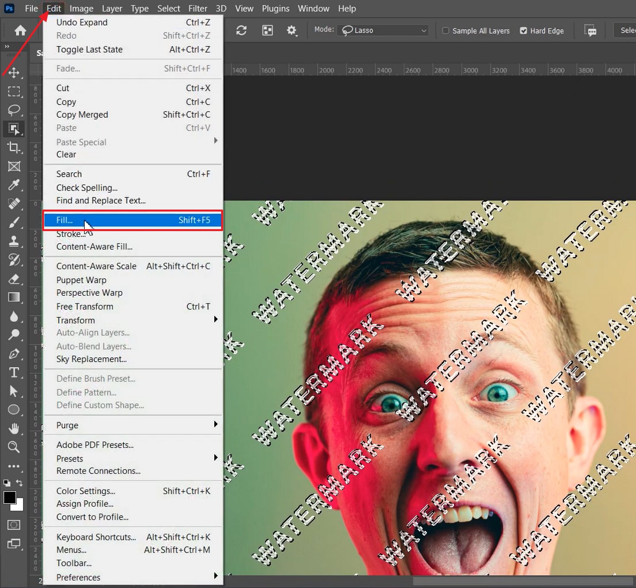choose fill from the drop down menu