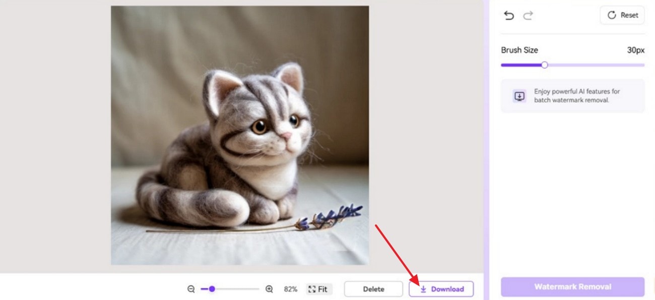 download the watermark free image