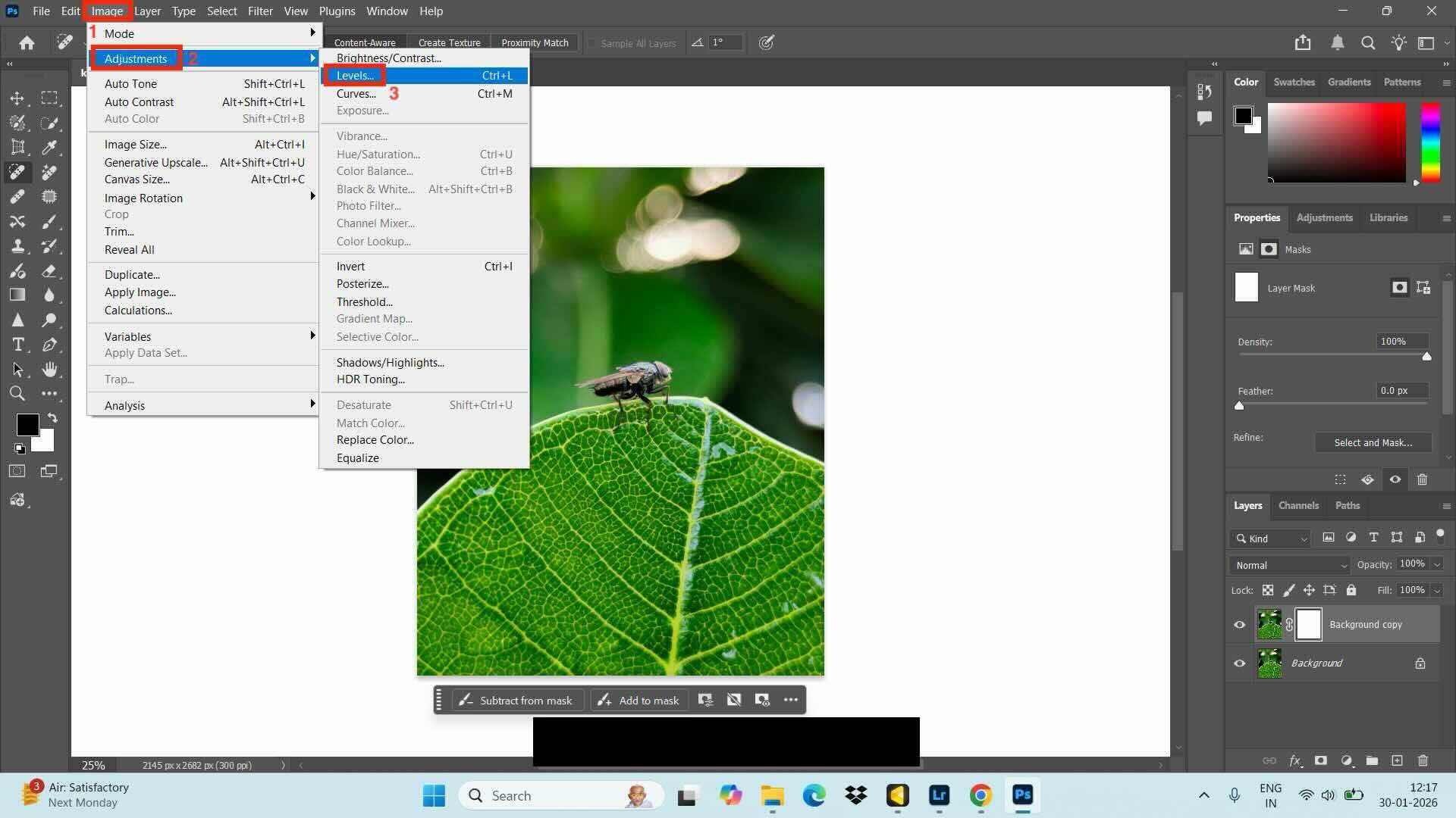 adobe photoshop levels