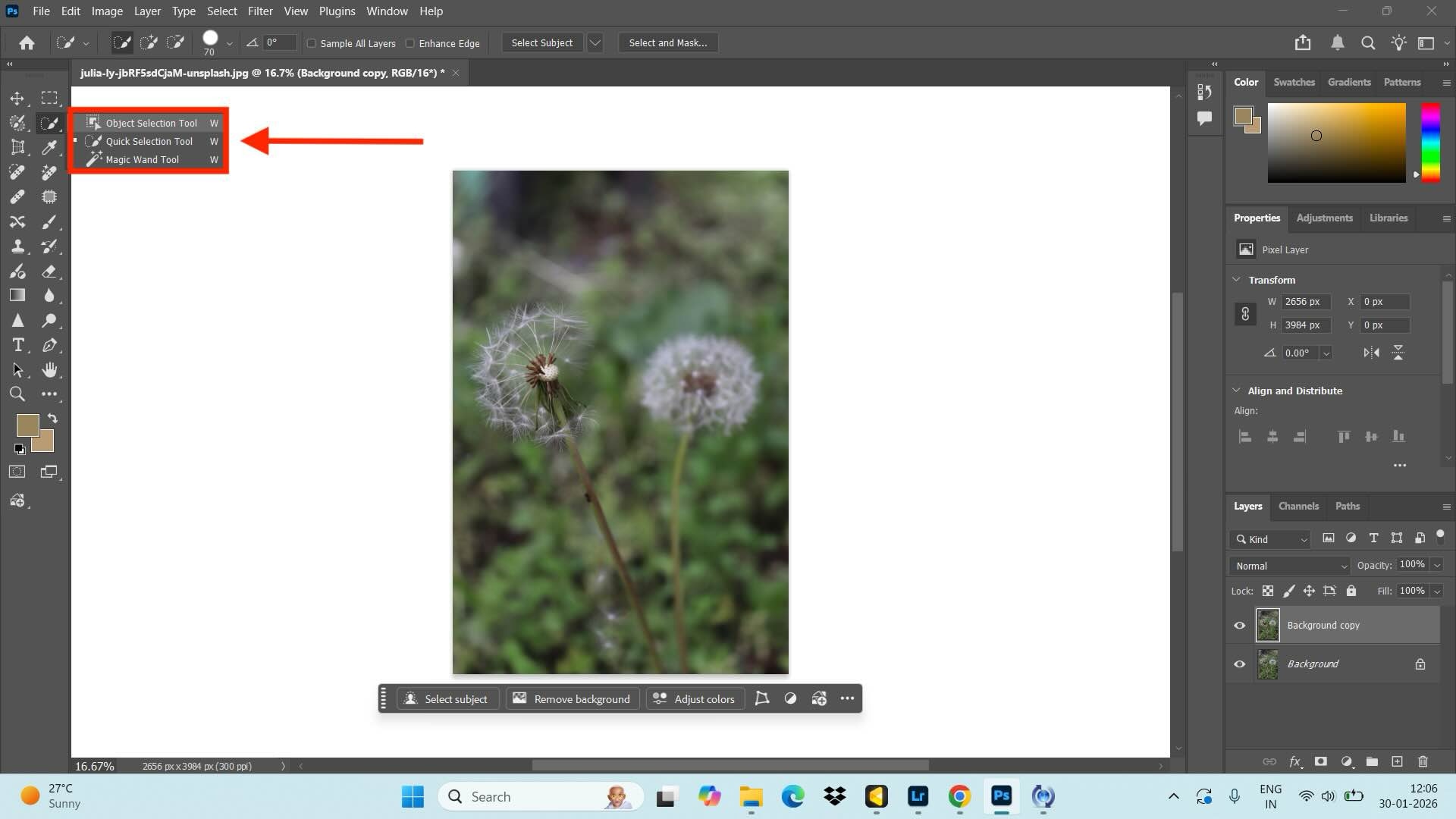 adobe photoshop selection tool