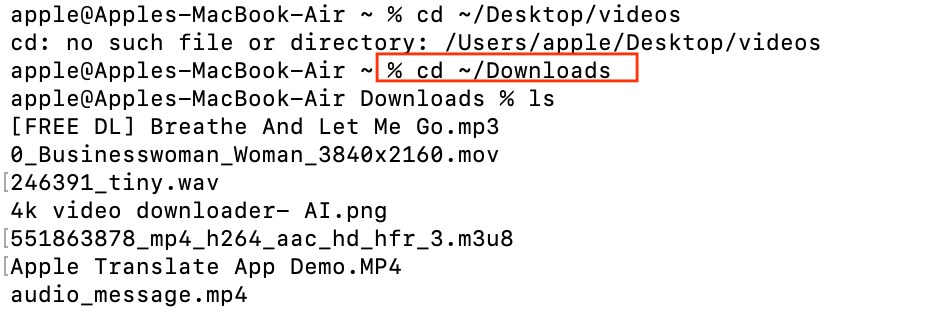 ffmpeg input command