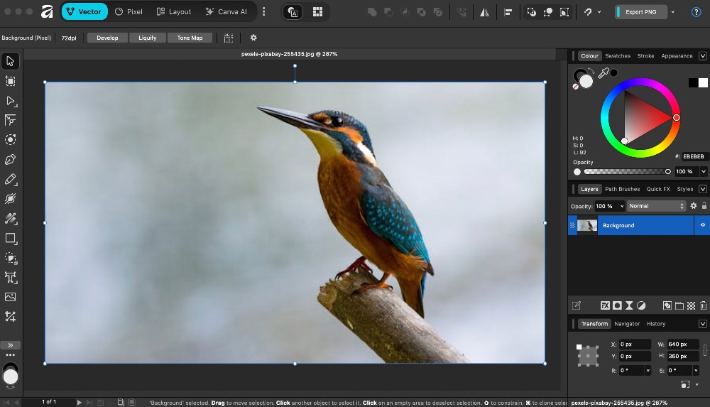 uploaded image on affinity photo
