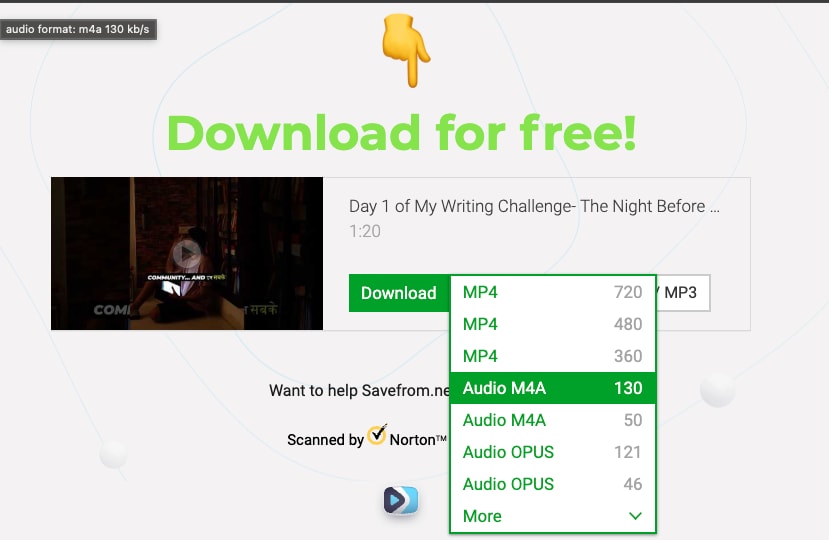 savefromnet choose format