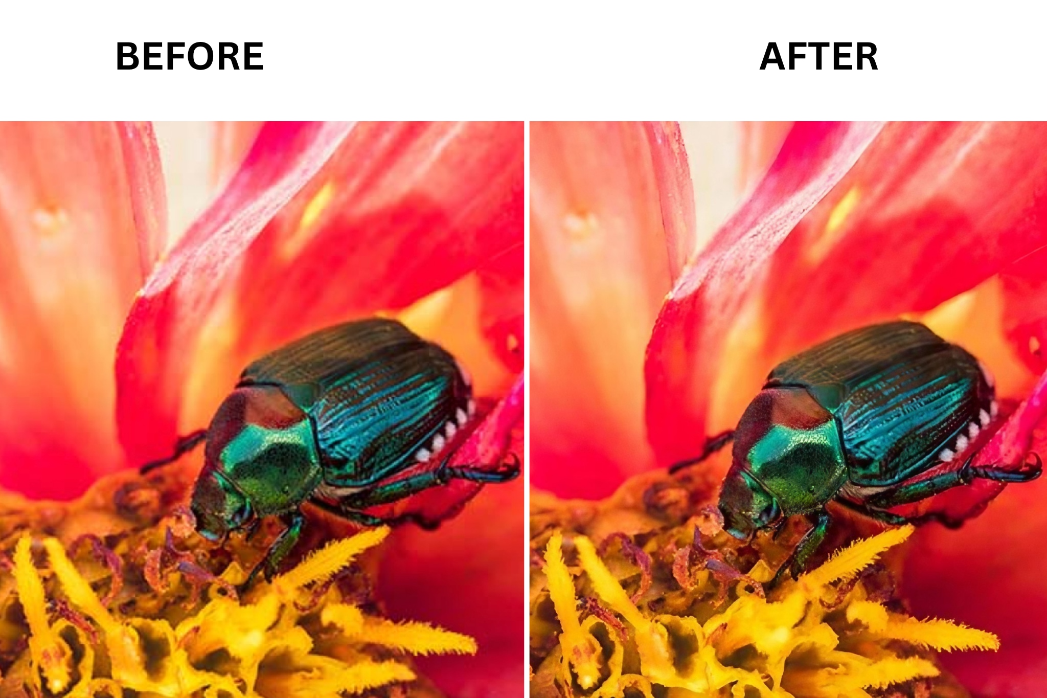 clipdrop before and after ai image
