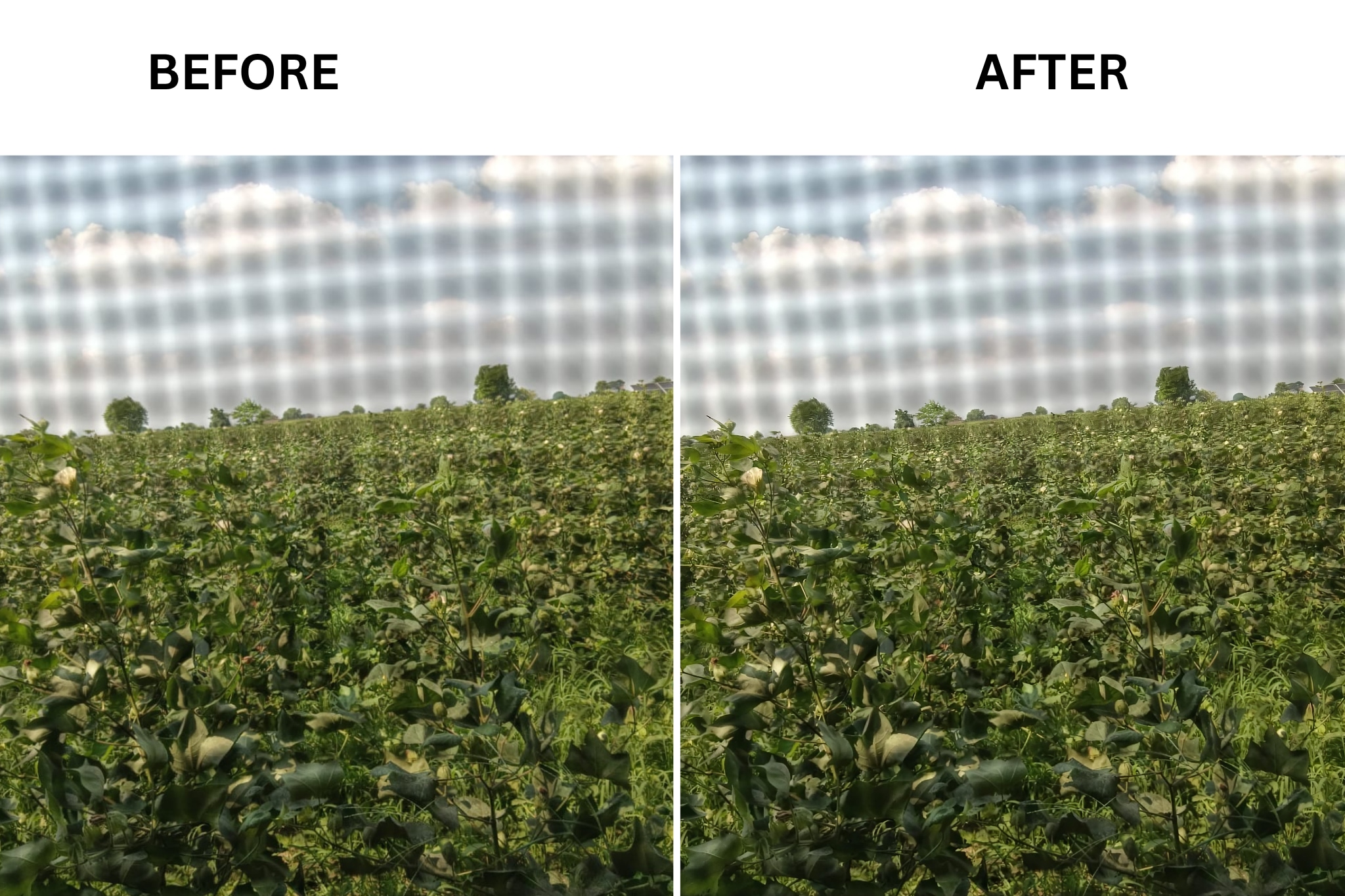 clipdrop before and after low quality image