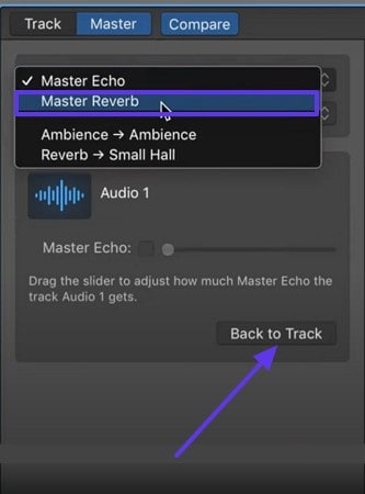 choose master reverb remove echo from sound