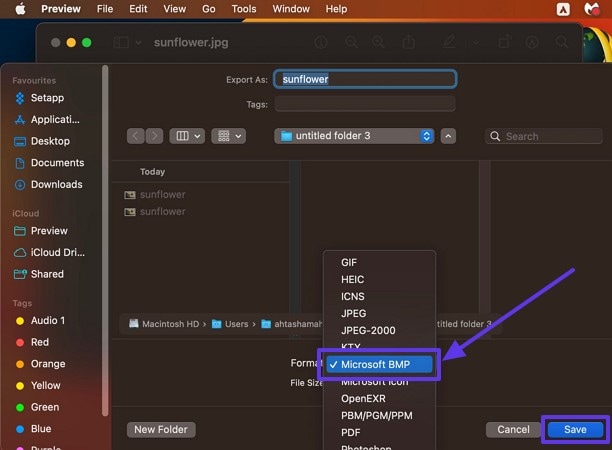 choose bmp image option for conversion
