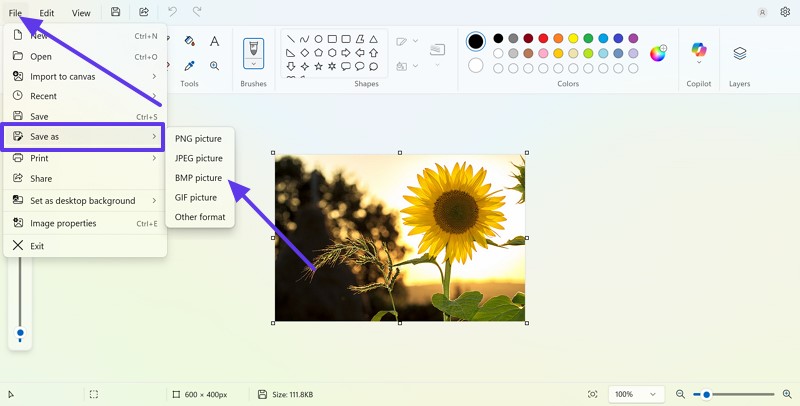 jpg bmp image converter paint