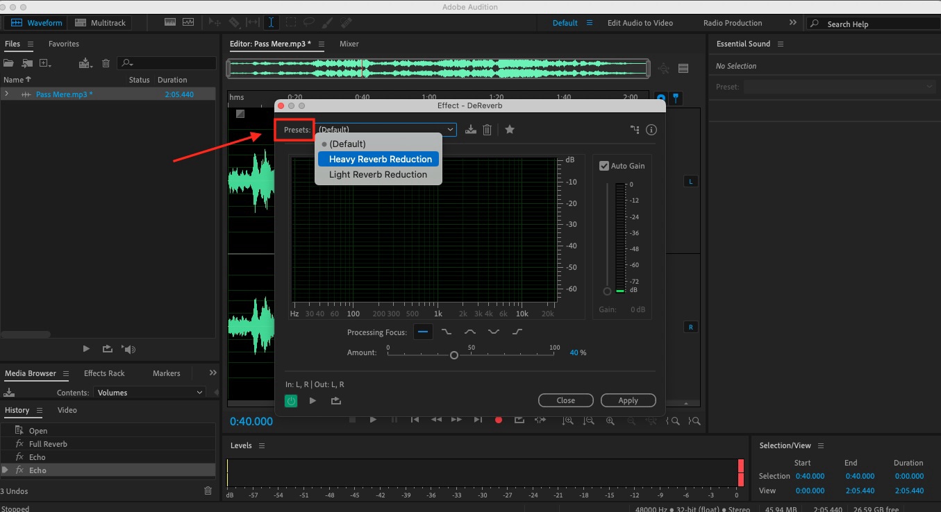 adobe audition dereverb presets