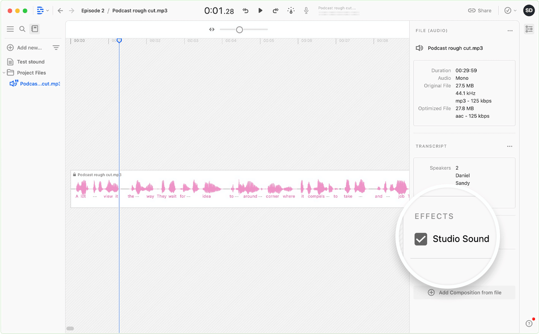 descript studio echo remover tool