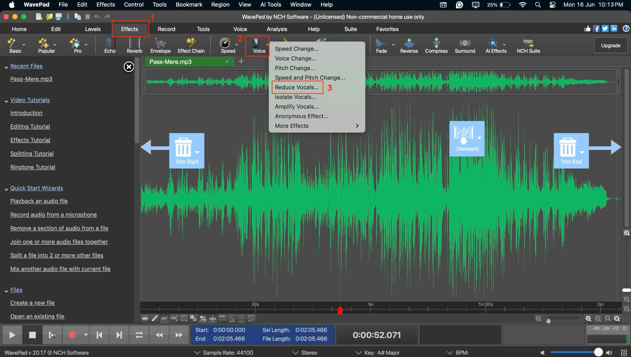 wavepad audio editor reduce vocals