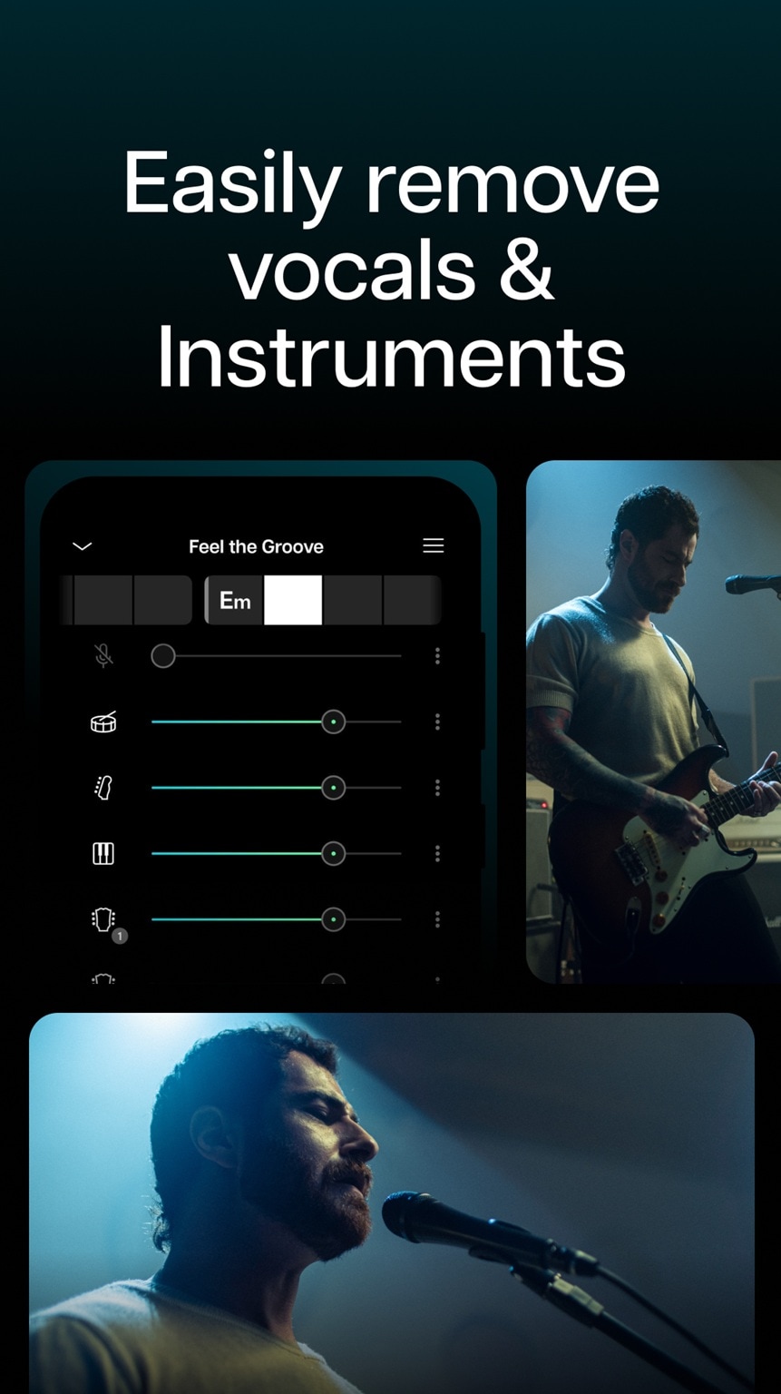 remove lyrics from song moises