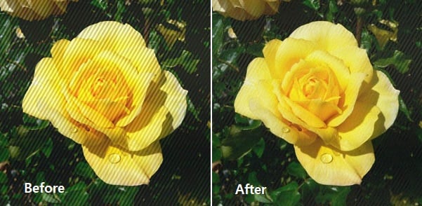 gimp noise reduction