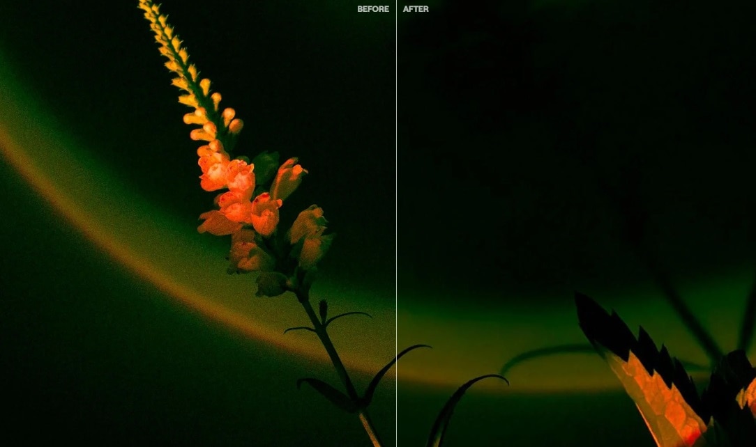 luminar neo best denoising software