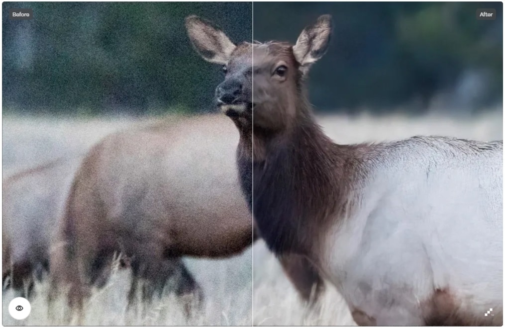 noise removal using denoise ai