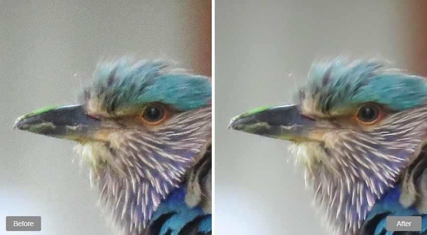 noise reduction software neat image