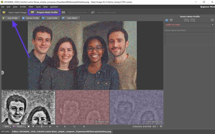 auto profile denoise photo