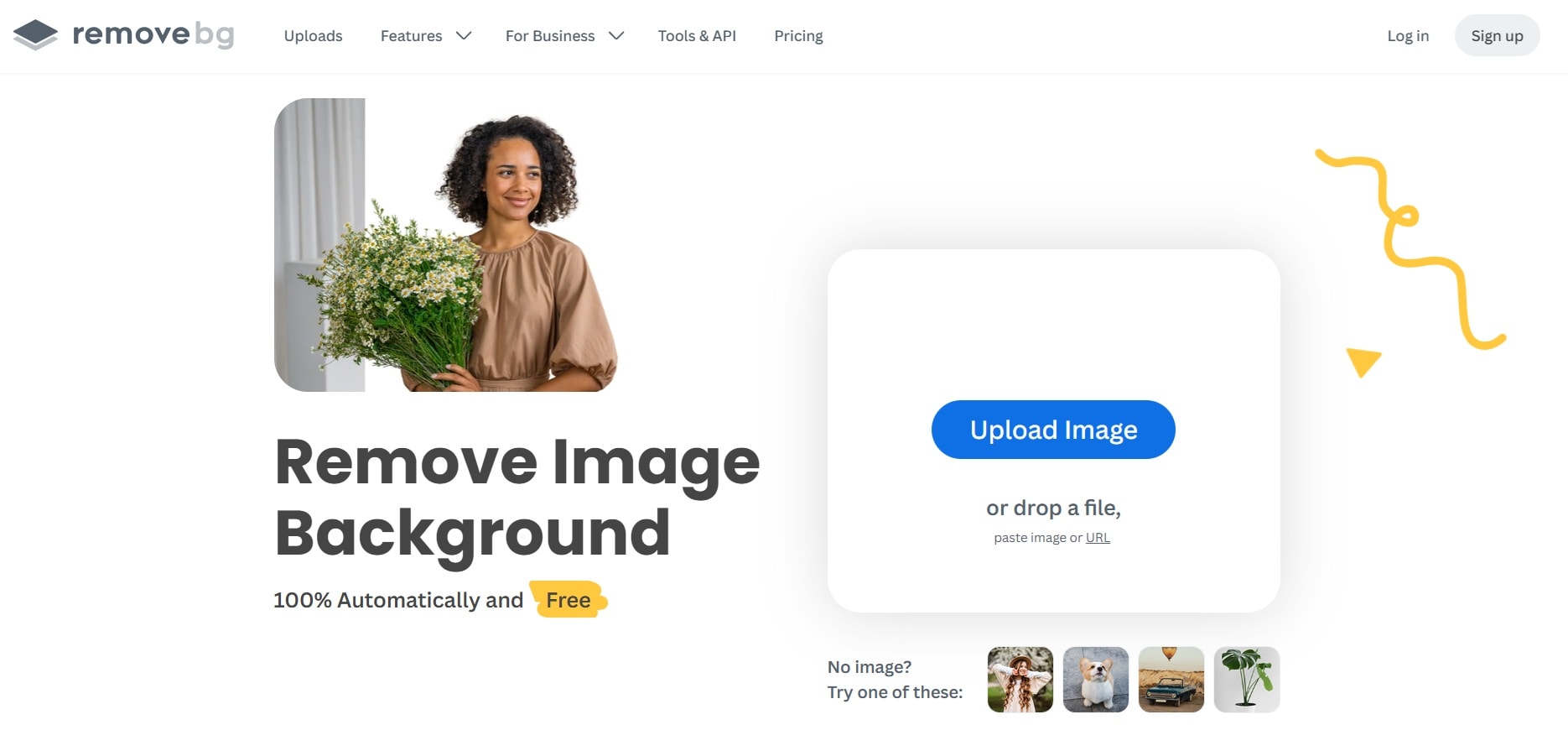 remove bg website for green screen removal