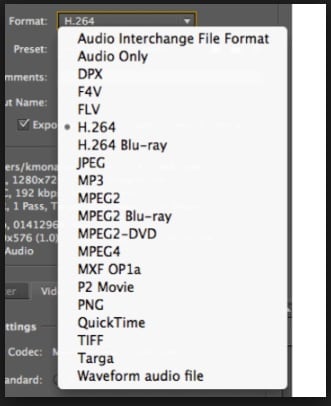 choose output video format