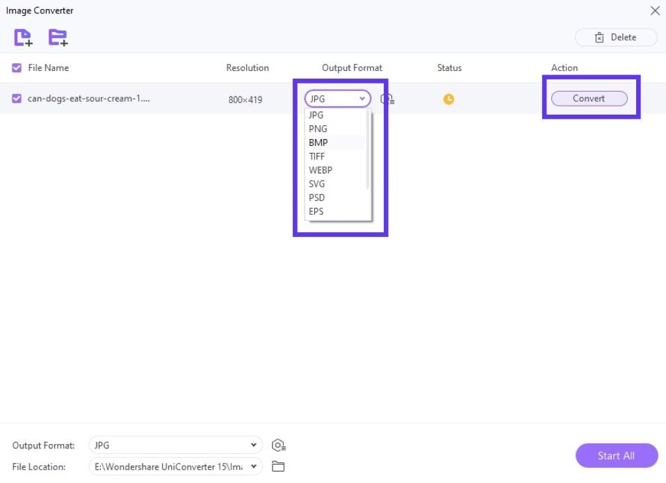 choose the output format