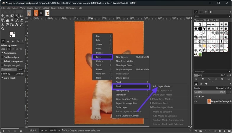 get rid of background in gimp