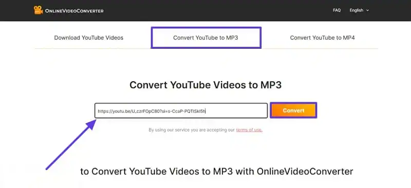 add url and hit convert button