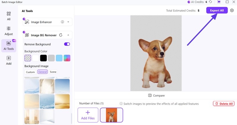 save results after uniconverter erase background