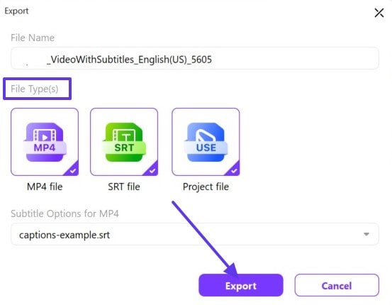 choose file type and export subtitled movies