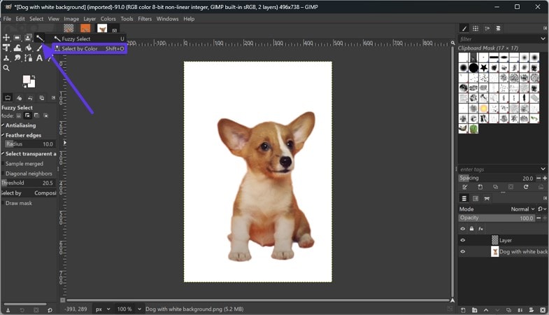 prepare image for gimp erase background