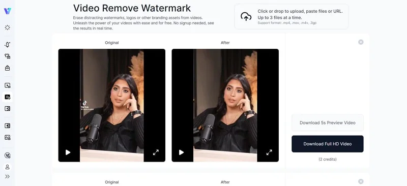 vmake ai tiktok watermark remover