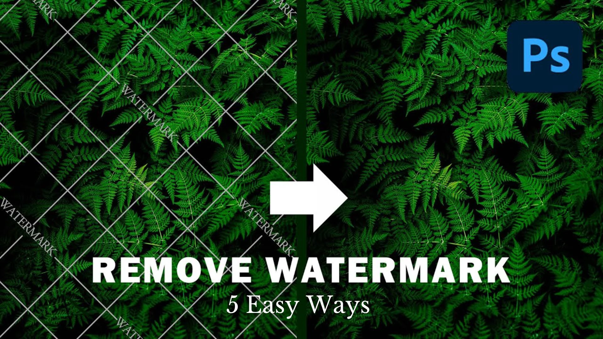 remove a watermark in photoshop