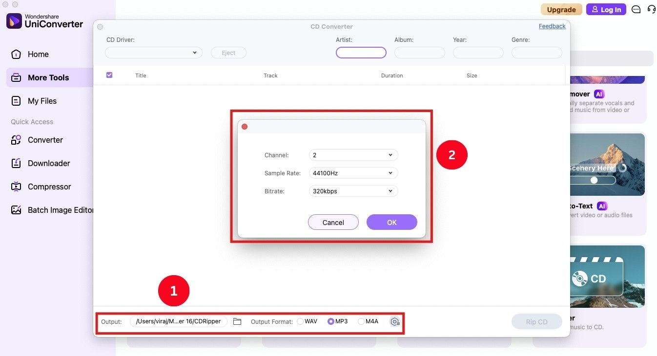customize the output audio