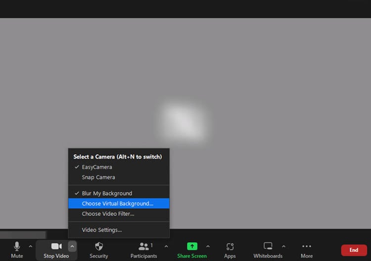 choose a virtual background in a zoom meeting