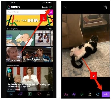 screen view of selecting a video on iphone in the giphy app