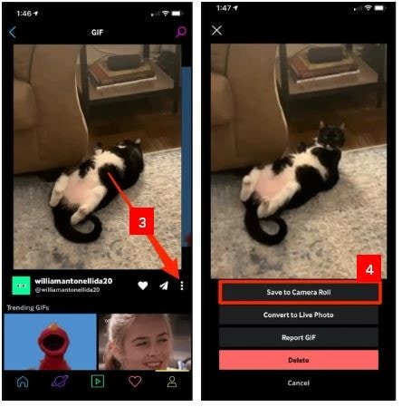 screen view of finally creating a gif from video on iphone using giphy