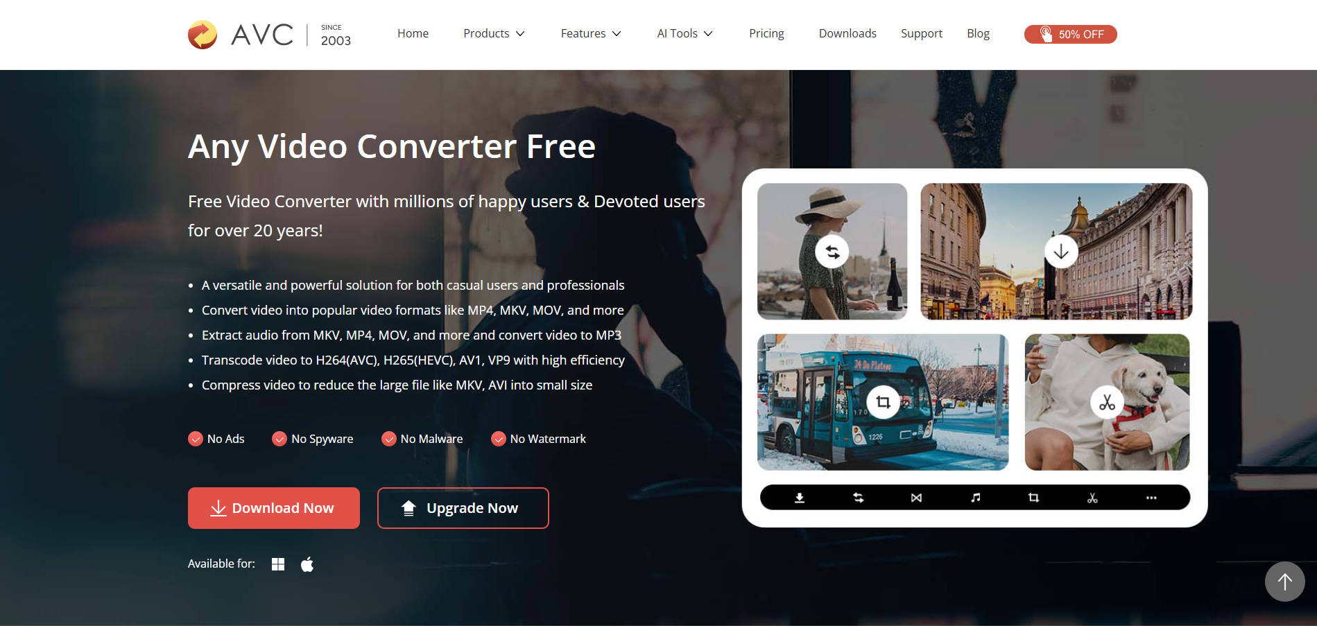 any video converter