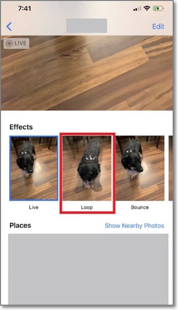 Wie man GIFs auf dem iPhone erstellt - Wählen Sie den Loop-Effekt
